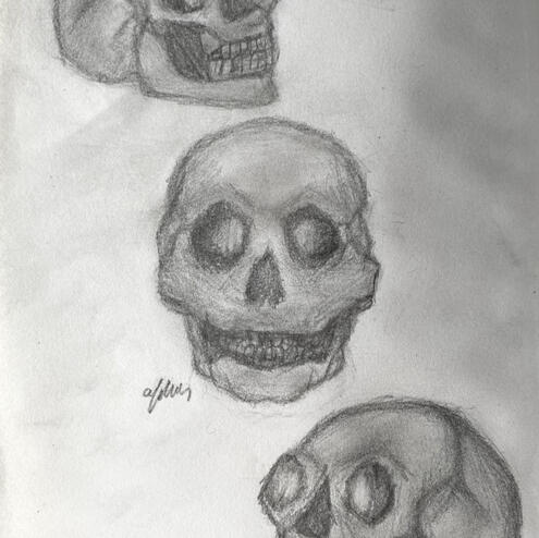 6. Skulls by Alicia